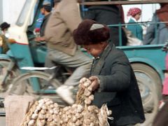 15 Kashgar Old City Street Scene 1993 Boy Carrying Garlic.jpg